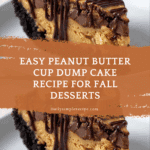 1 bowl peanut butter cup dump cake delight devours time Recipe