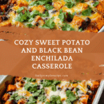 Vegetarian Delight Recipe