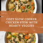 Slow Cooker Chicken Stew Recipe