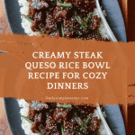Steak Queso Rice Recipe