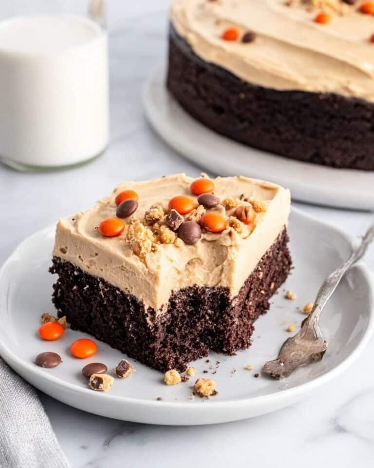 Chocolate Peanut Butter Brownies Recipe