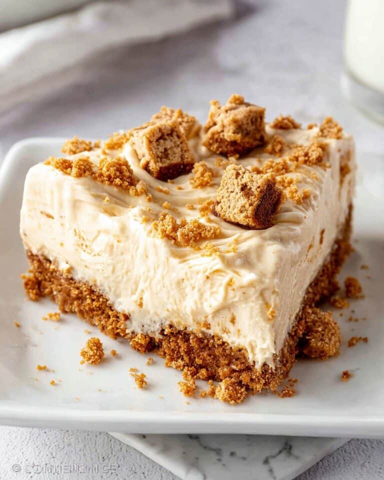 No Bake Biscoff Pie Recipe
