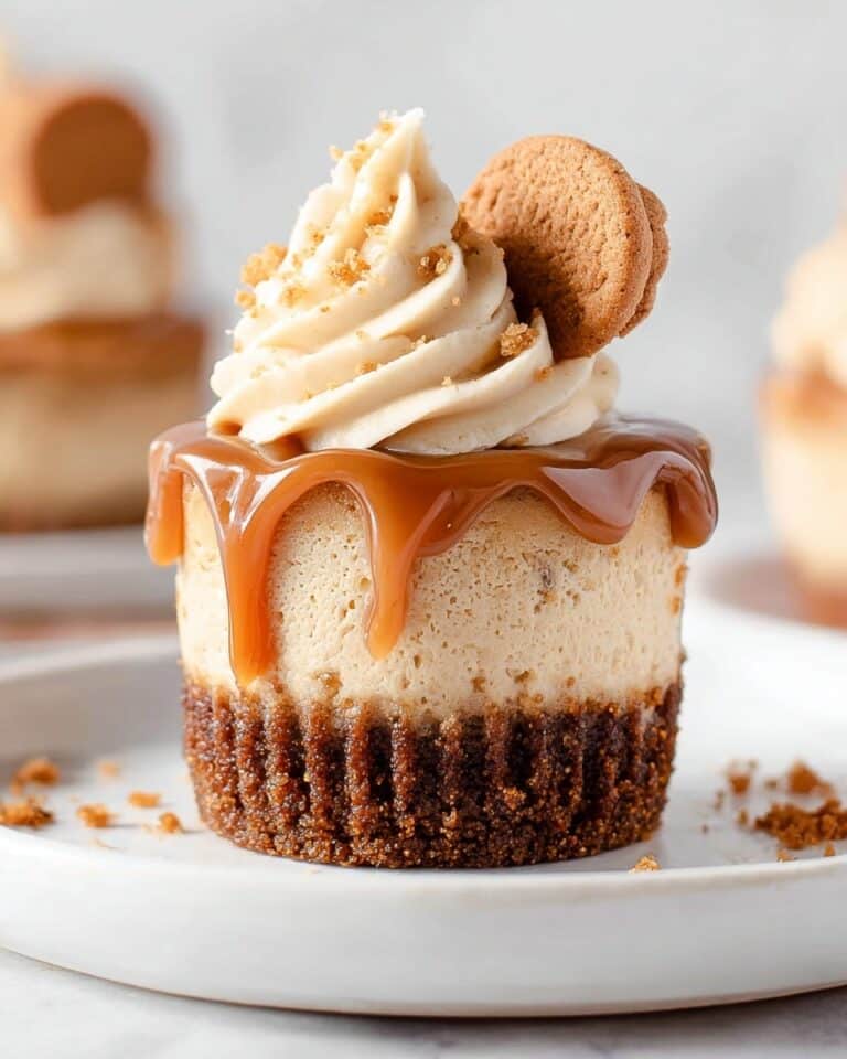 Mini Biscoff Cheesecakes with Spiced Biscoff Spread Topping Recipe